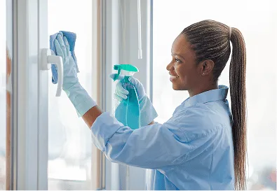 Limpiezas en general