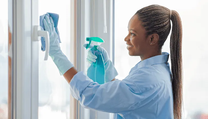 limpiezas en general