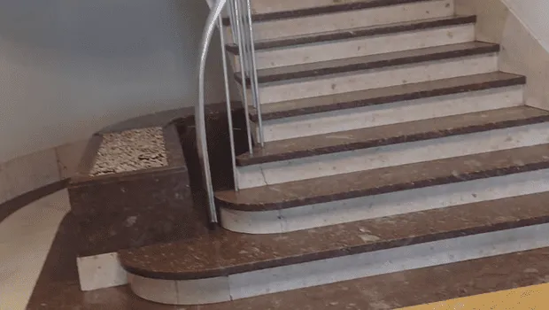 Limpiezas en general